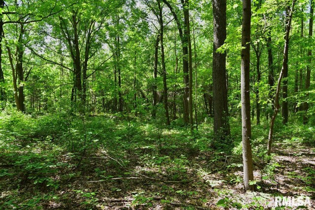 001 Robinson Hill Rd, Stonefort, IL 62987