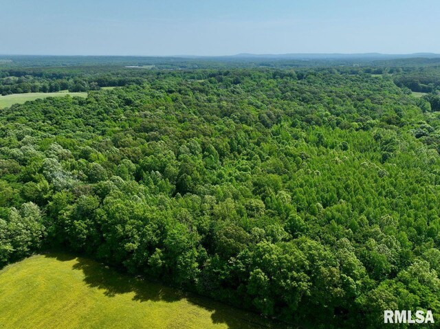 001 Robinson Hill Rd, Stonefort, IL 62987