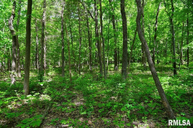 001 Robinson Hill Rd, Stonefort, IL 62987