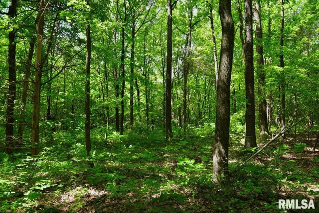 001 Robinson Hill Rd, Stonefort, IL 62987