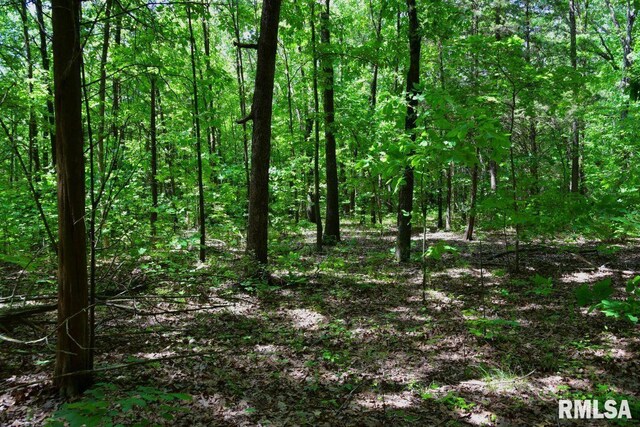 001 Robinson Hill Rd, Stonefort, IL 62987