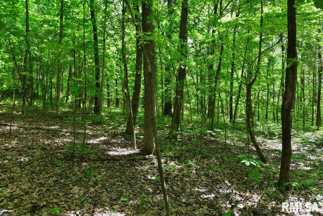 001 Robinson Hill Rd, Stonefort, IL 62987