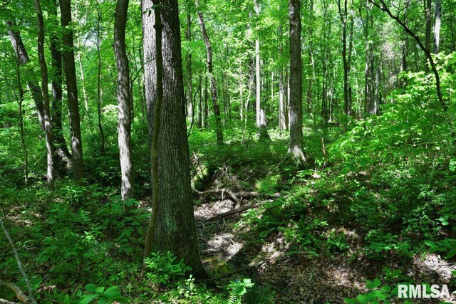 001 Robinson Hill Rd, Stonefort, IL 62987