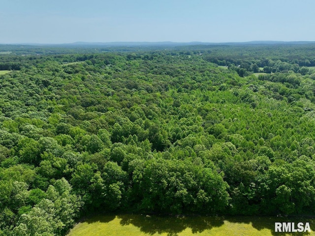 001 Robinson Hill Rd, Stonefort, IL 62987