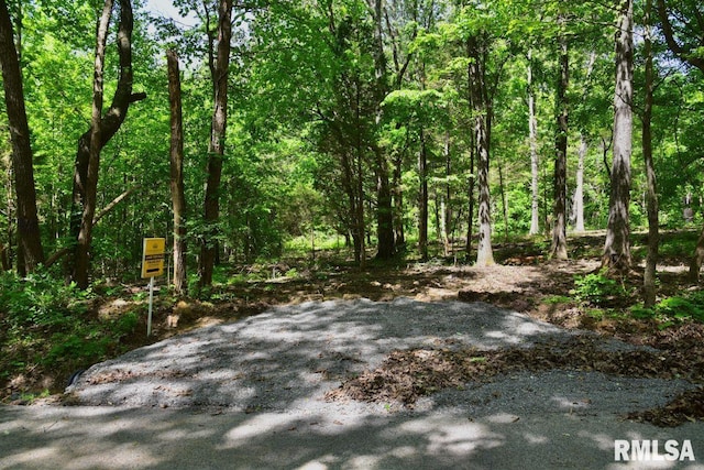 001 Robinson Hill Rd, Stonefort, IL 62987