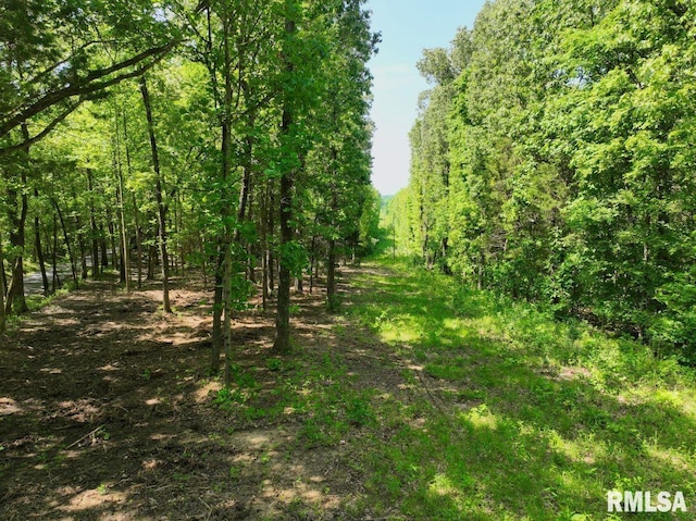 001 Robinson Hill Rd, Stonefort, IL 62987