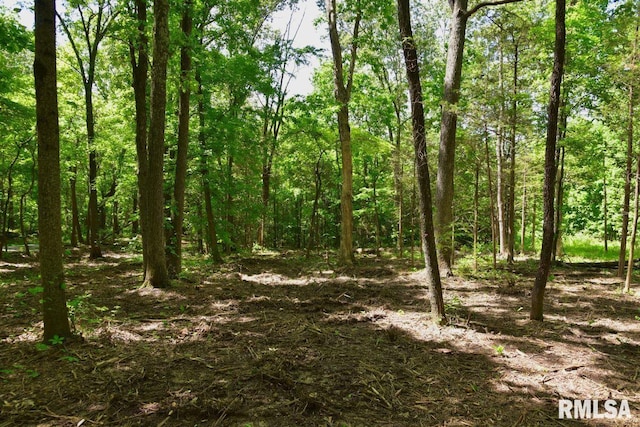 001 Robinson Hill Rd, Stonefort, IL 62987