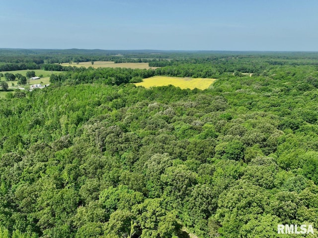 001 Robinson Hill Rd, Stonefort, IL 62987