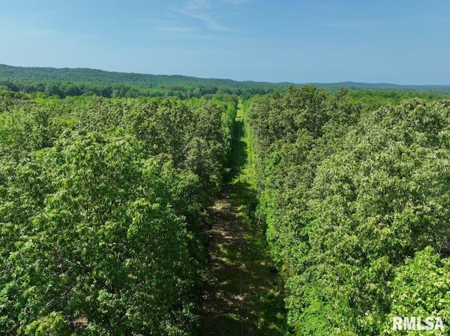 001 Robinson Hill Rd, Stonefort, IL 62987