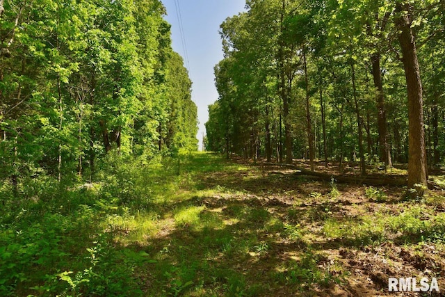 001 Robinson Hill Rd, Stonefort, IL 62987