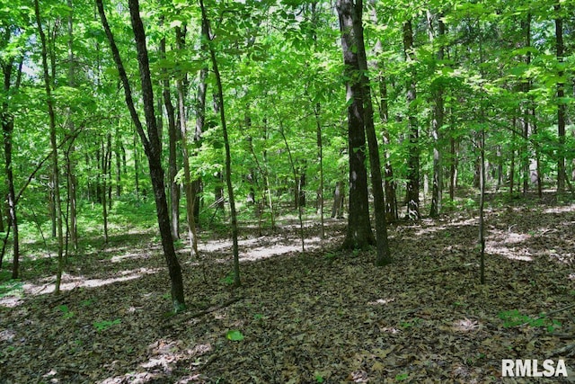001 Robinson Hill Rd, Stonefort, IL 62987