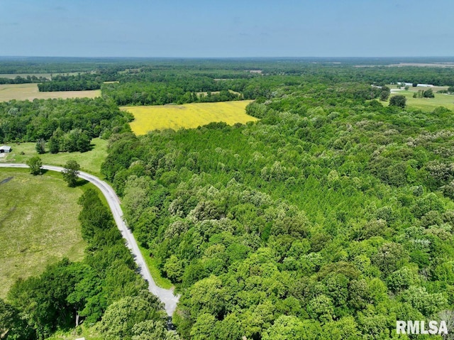 002 Robinson Hill Rd, Stonefort, IL 62987 - photo 1