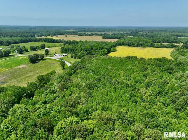 002 Robinson Hill Rd, Stonefort, IL 62987 - photo 12