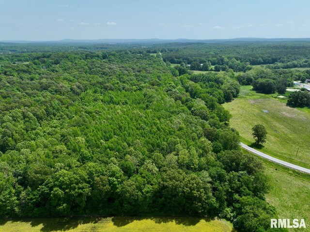 002 Robinson Hill Rd, Stonefort, IL 62987 - photo 16