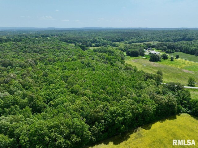 002 Robinson Hill Rd, Stonefort, IL 62987 - photo 20