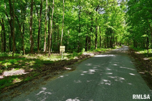 002 Robinson Hill Rd, Stonefort, IL 62987 - photo 3
