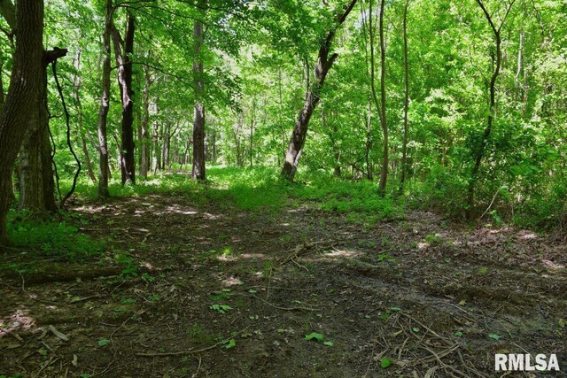 002 Robinson Hill Rd, Stonefort, IL 62987 - photo 4