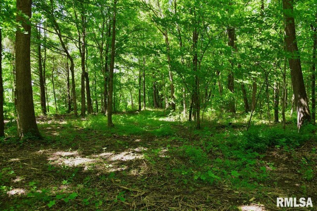 002 Robinson Hill Rd, Stonefort, IL 62987 - photo 5