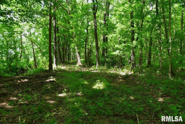 002 Robinson Hill Rd, Stonefort, IL 62987 - photo 6
