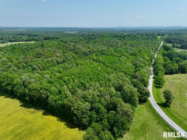 002 Robinson Hill Rd, Stonefort, IL 62987 - photo 7