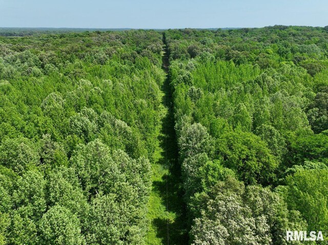 002 Robinson Hill Rd, Stonefort, IL 62987 - photo 8