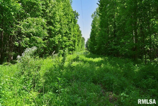 002 Robinson Hill Rd, Stonefort, IL 62987 - photo 9