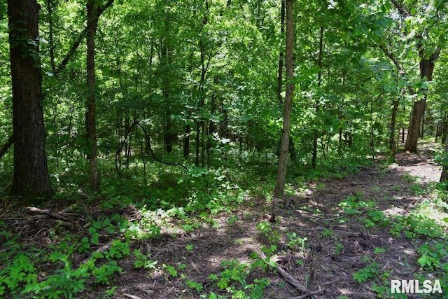 000 Battleford Rd, Stonefort, IL 62987