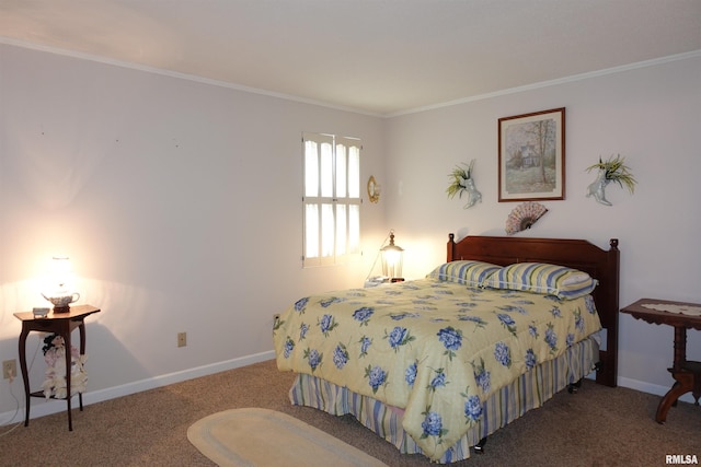 255 S Soangetaha Rd, Galesburg, IL 61401 - bedroom with carpet, ornamental molding, and baseboards