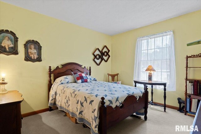 15 Belridge Dr, Sherman, IL 62684 - photo 20