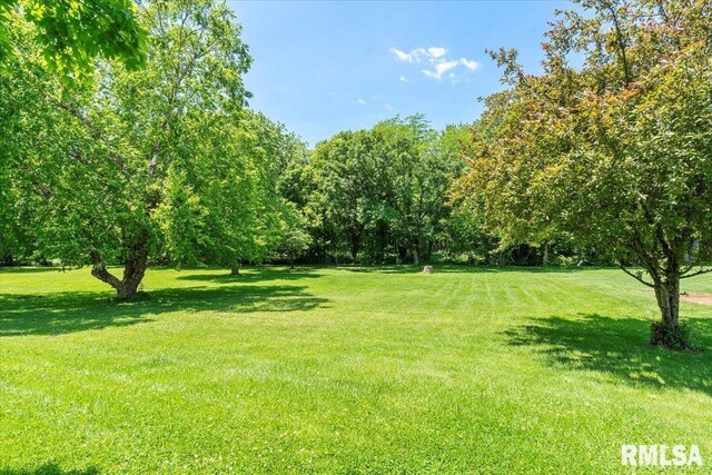 15 Belridge Dr, Sherman, IL 62684 - photo 37