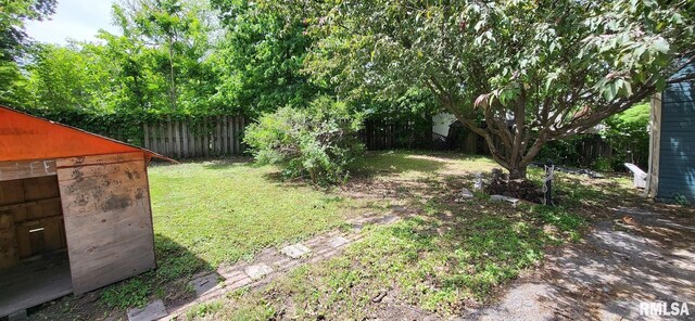 1262 N Broad St, Galesburg, IL 61401 - view of yard