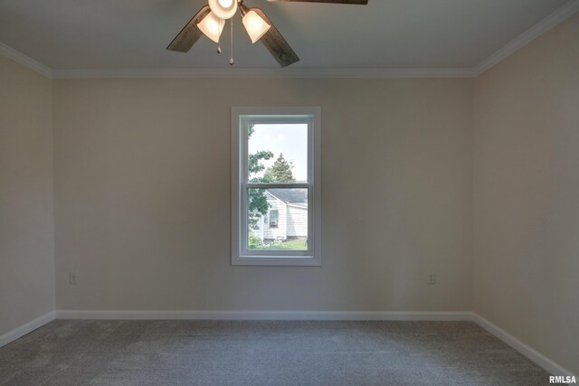 216 E Benson St, Pittsfield, IL 62363 - photo 14