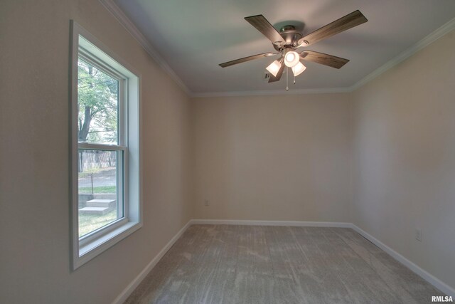 216 E Benson St, Pittsfield, IL 62363 - photo 17