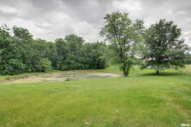 2044 N 1200th Ave, Liberty, IL 62347 - view of green lawn