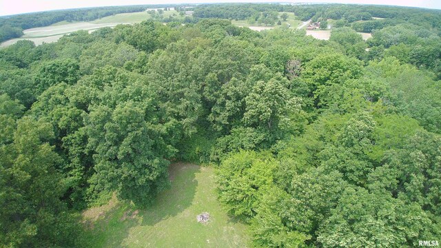 27425 Quarton Rd, Palmyra, IL 62674 - photo 34