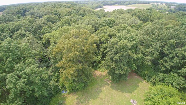 27425 Quarton Rd, Palmyra, IL 62674 - photo 35