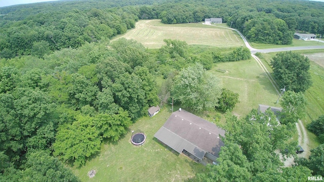 27425 Quarton Rd, Palmyra, IL 62674 - photo 36