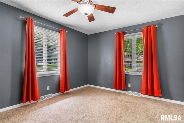 69 Axline Rd, Chatham, IL 62629 - spare room with plenty of natural light, carpet, a ceiling fan, and a textured ceiling