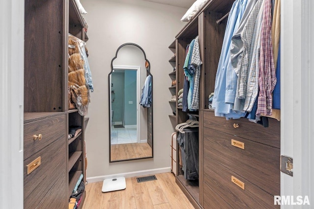 33 Vista Rdg, Petersburg, IL 62675 - walk in closet featuring light wood-style flooring