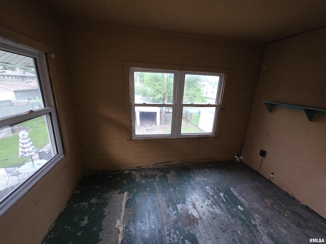 2040 S 5th St, Springfield, IL 62703 - empty room featuring plenty of natural light, wood-type flooring, and wooden walls