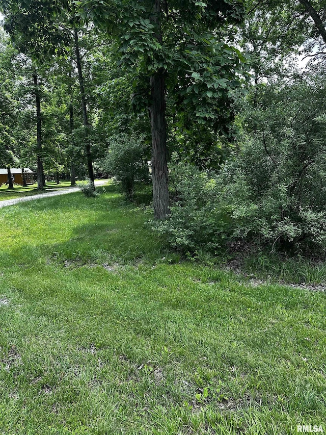 15508 N 400th St, Martinsville, IL 62442