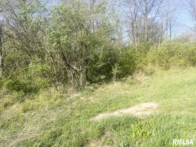 404 W Anthony Dr, Urbana, IL 61802