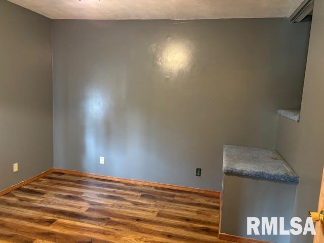 505 E Elm St, Carlinville, IL 62626 - spare room with wood finished floors and baseboards
