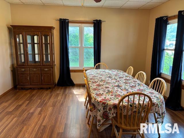 505 E Elm St, Carlinville, IL 62626 - dining space with a paneled ceiling, plenty of natural light, and wood finished floors
