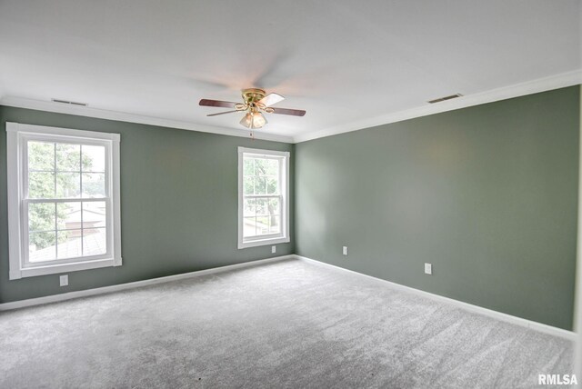 909 E Ash St, Taylorville, IL 62568 - photo 28