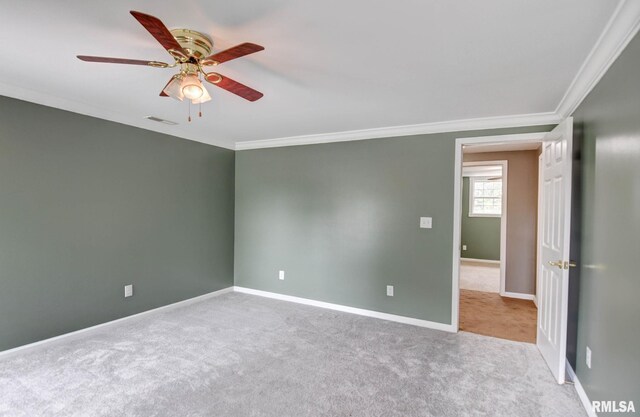 909 E Ash St, Taylorville, IL 62568 - photo 31
