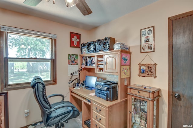 909 E Heights Ave, Taylorville, IL 62568 - office featuring ceiling fan