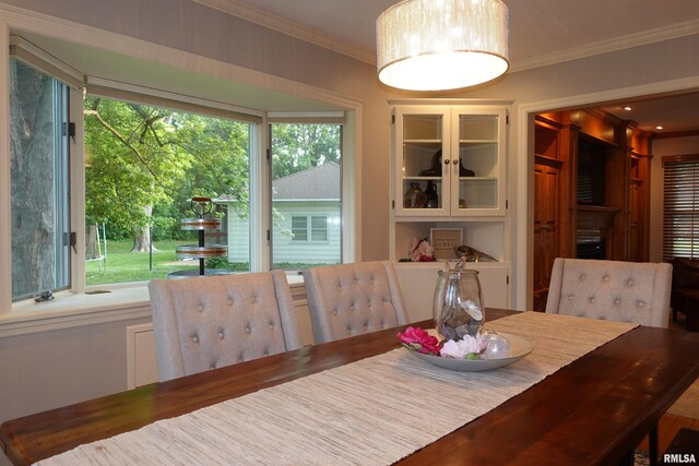 30 Hackberry Cir, Galesburg, IL 61401 - photo 21