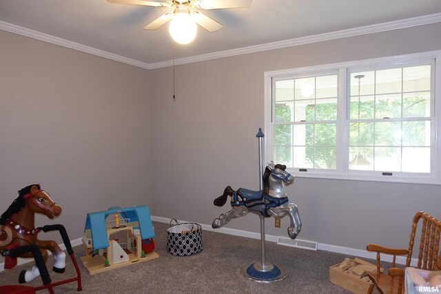 30 Hackberry Cir, Galesburg, IL 61401 - photo 43