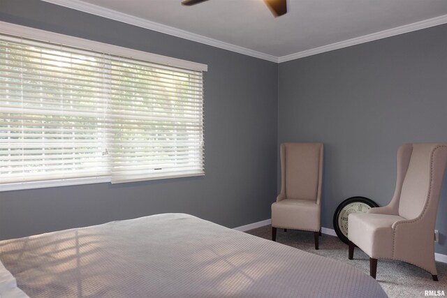 30 Hackberry Cir, Galesburg, IL 61401 - photo 49